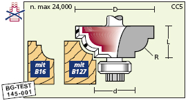 Profilfräser mit Anlauflager (5)