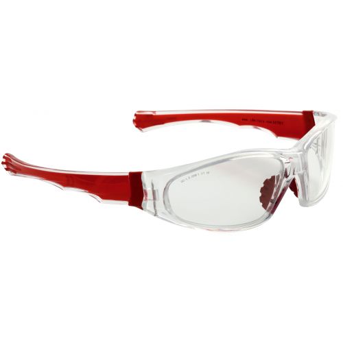 Arbeitsschutzbrille EATREY